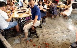 搞笑打火锅视频